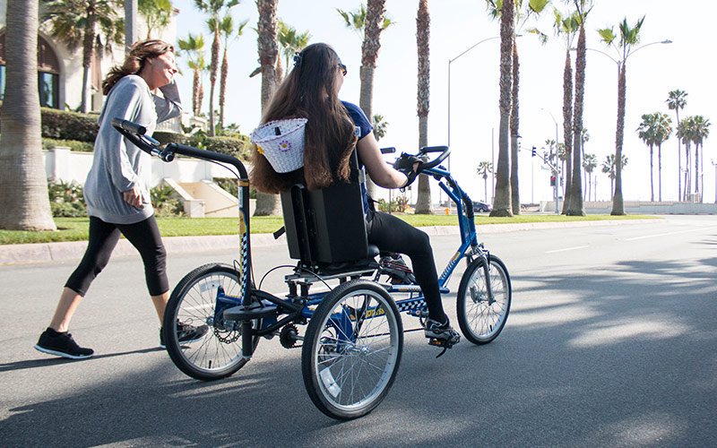therapy bikes for adults